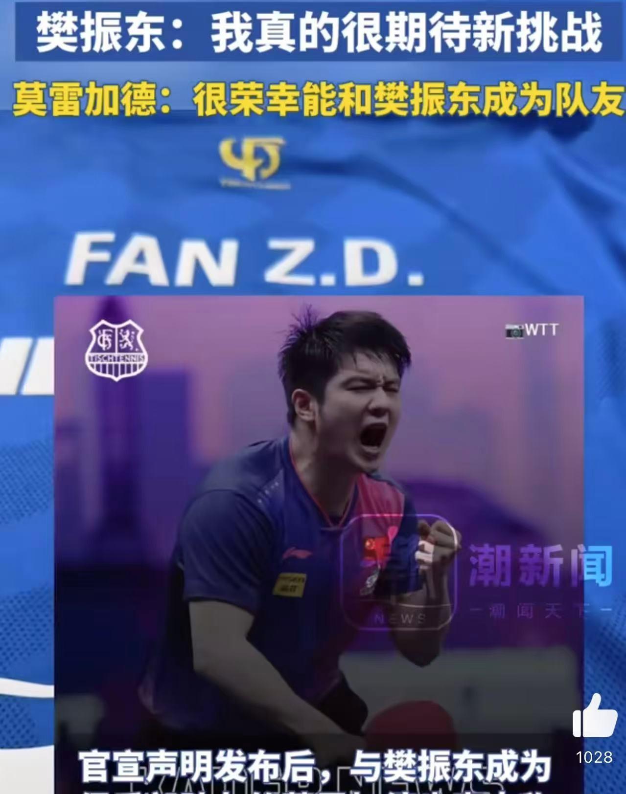 关于英国乒乓球队血洗德国乒乓球队,樊振东高光表现的信息 关于英国乒乓球队血洗德国乒乓球队,樊振东高光表现的信息