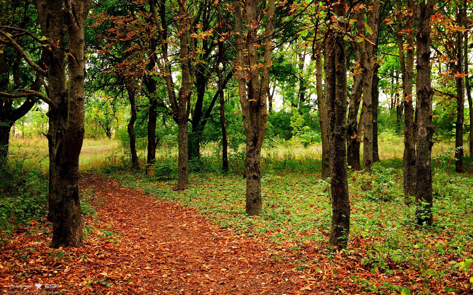 时空交错!莱万一击定乾坤—记哥伦比亚与曼联的传奇之战