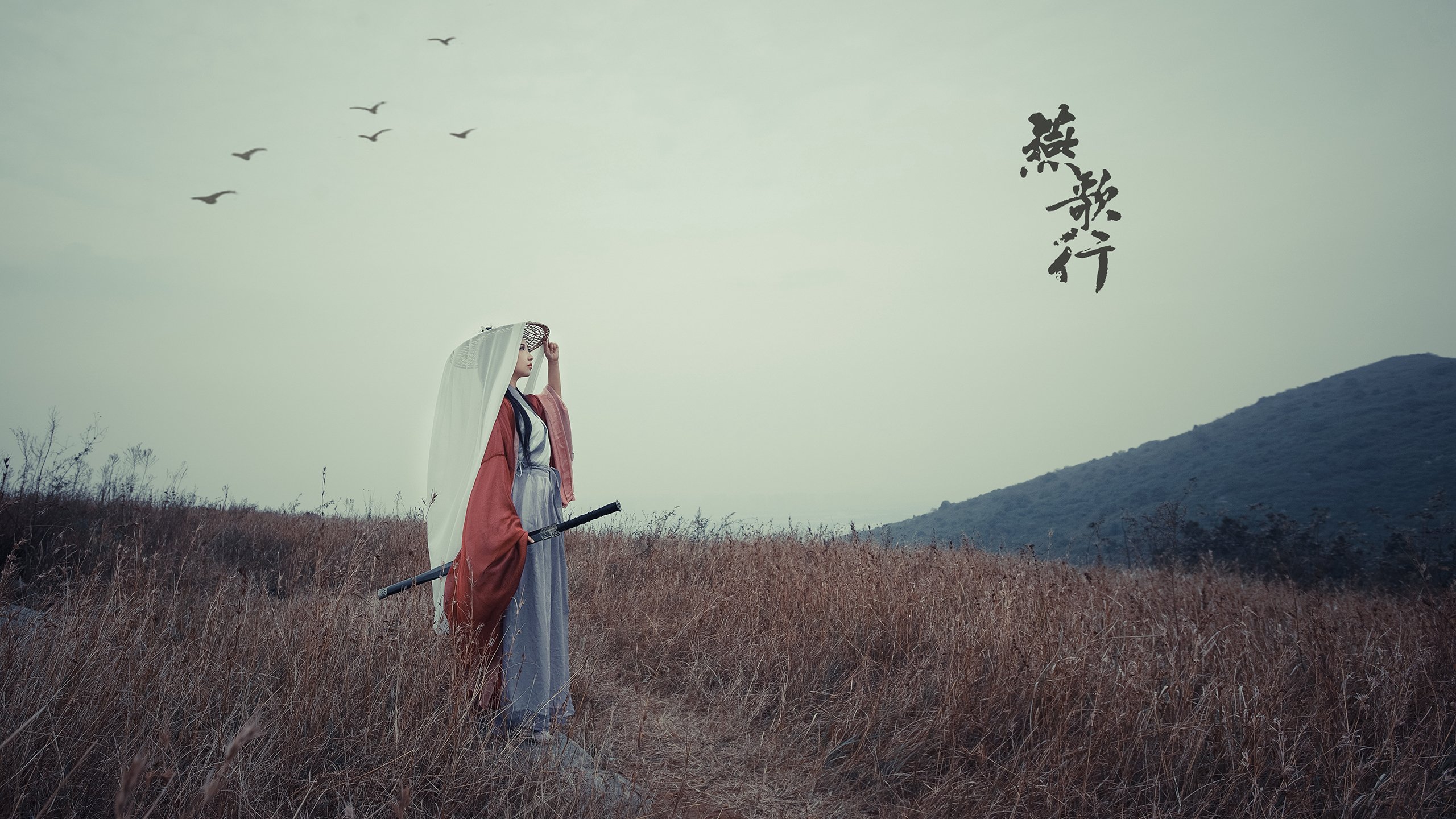 北欧雄狮的叹息,马丁内利如何让马里足球在欧洲大陆惊艳四座