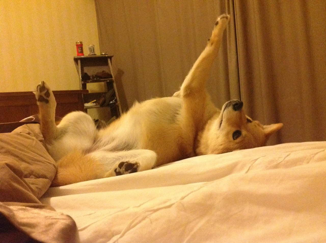 踩着刀锋的华尔兹，杜兰特如何用节奏改写生死