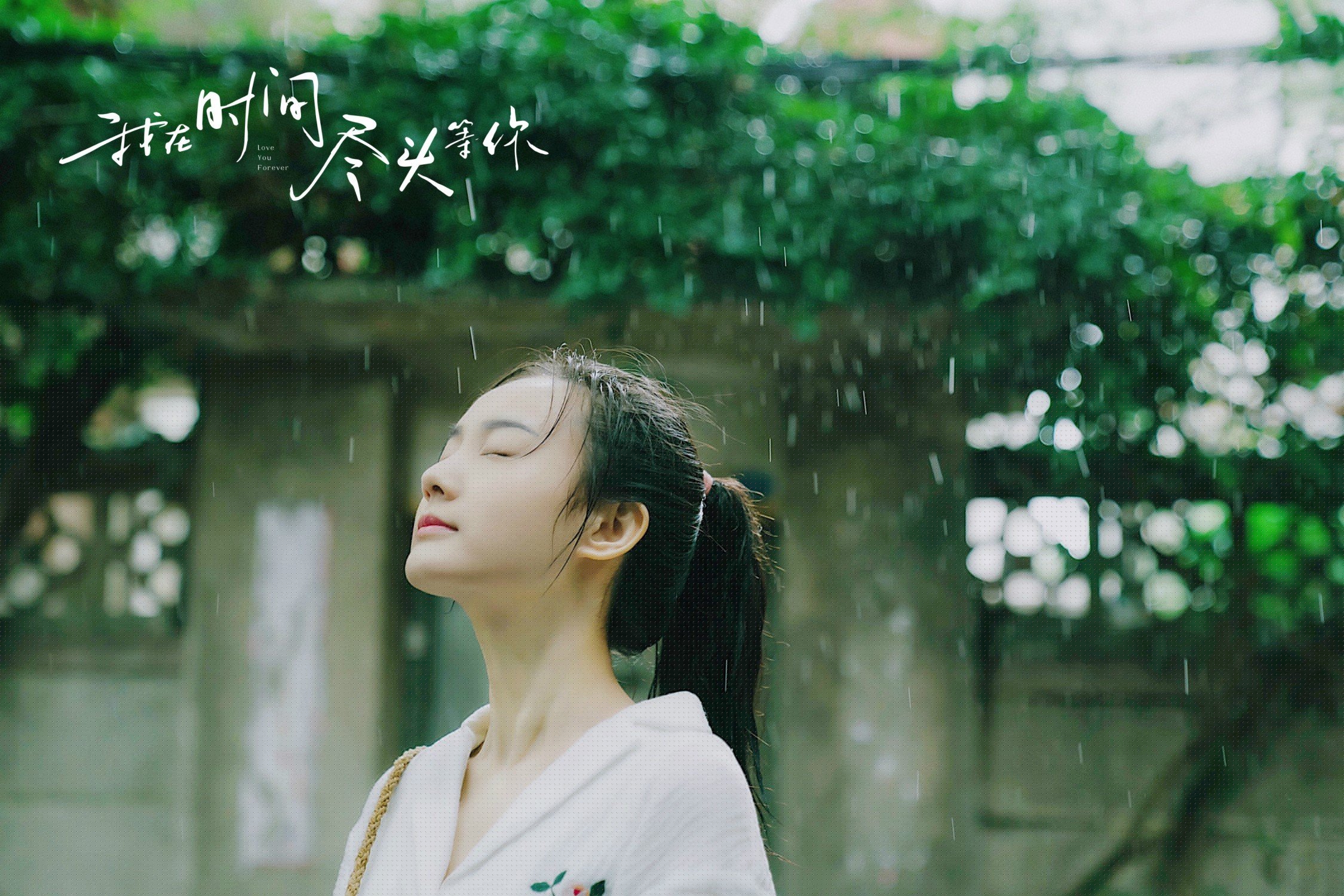 冰与火之歌,骑士的团队凯旋与马克西的孤胆传奇