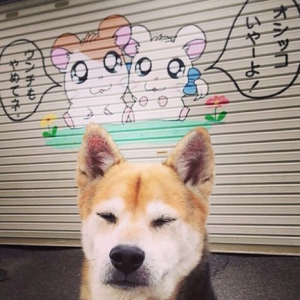 新秩序的交响诗,勒沃库森以努涅斯节奏完成了对德甲王座的优雅夺权