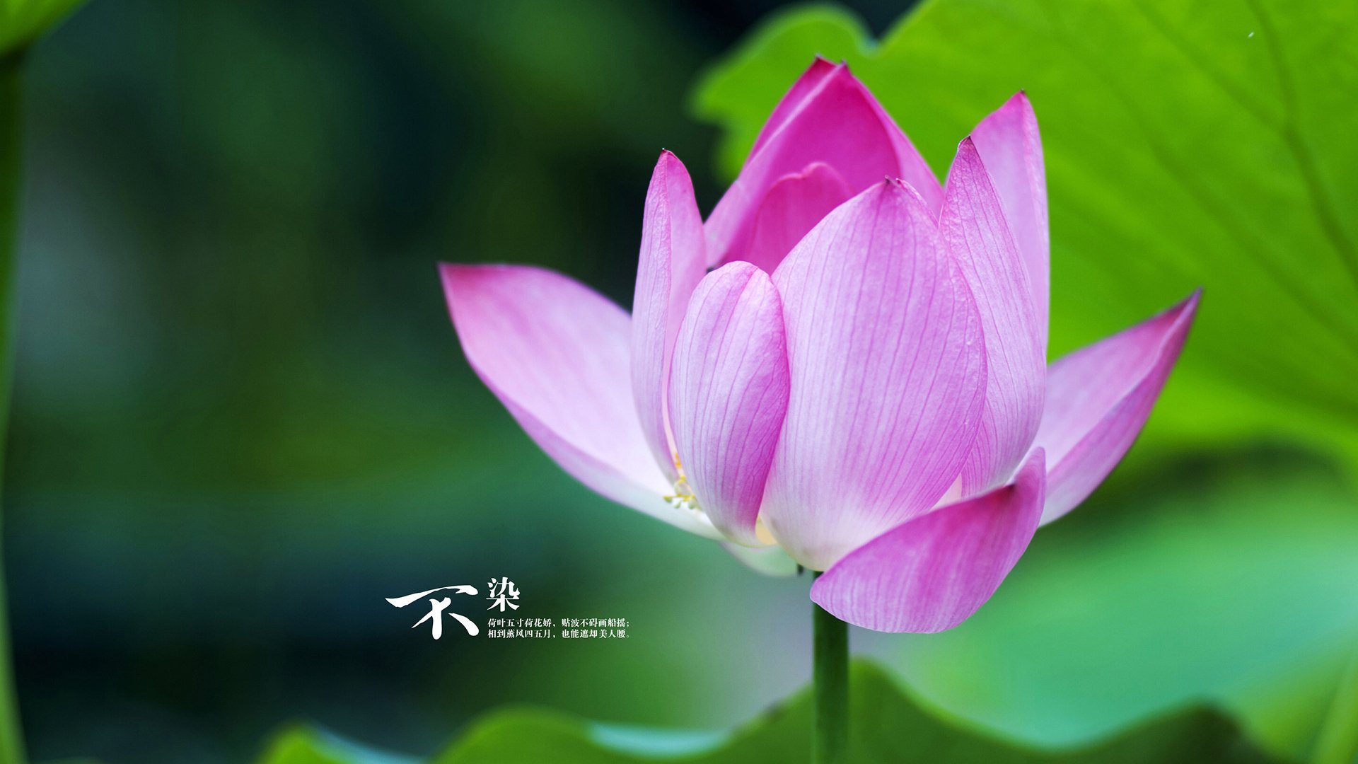 同一天空下,阿劳霍燃动诺坎普,哥斯达黎加震撼基辅