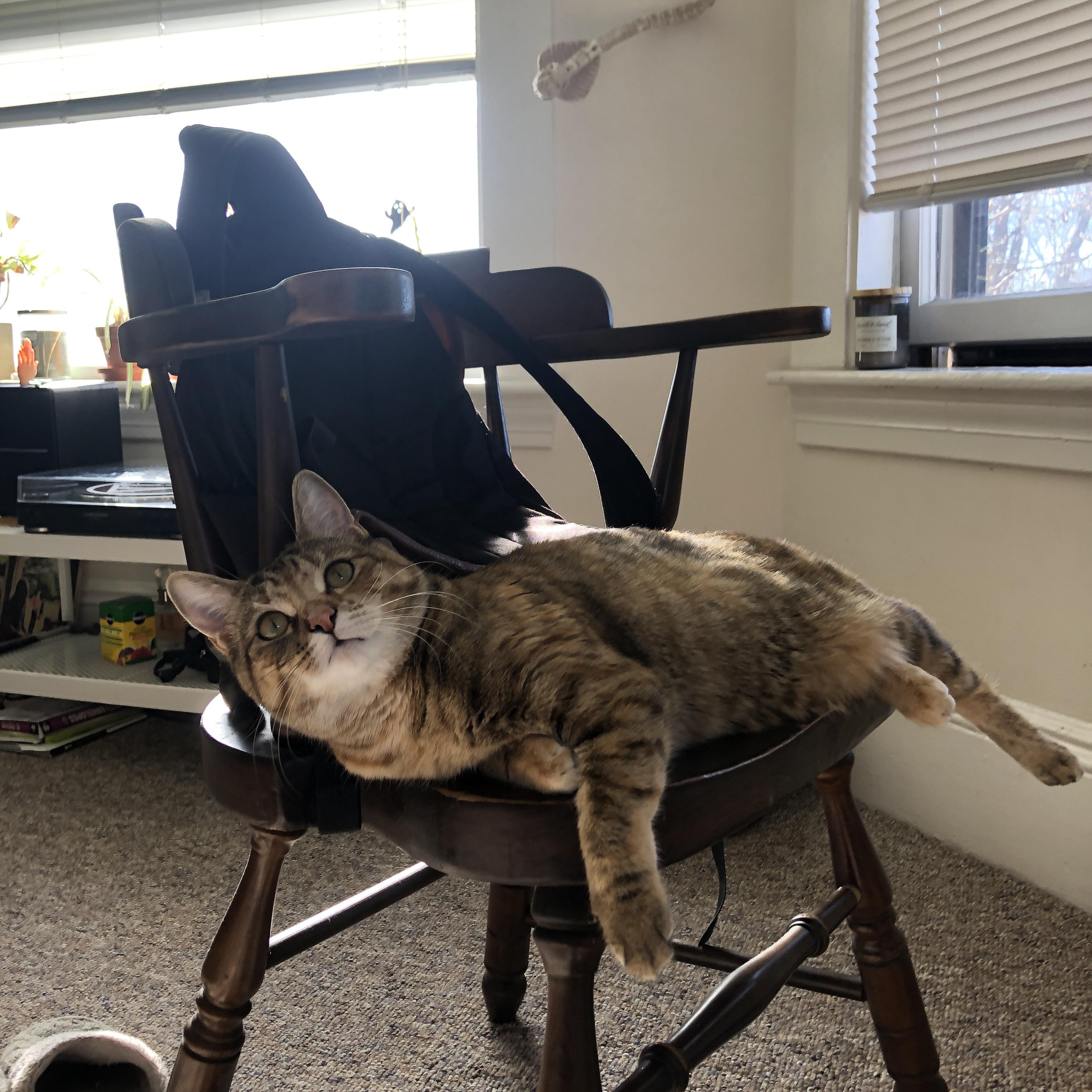 引力与离心力,当莫兰特撕裂上海队的轨道