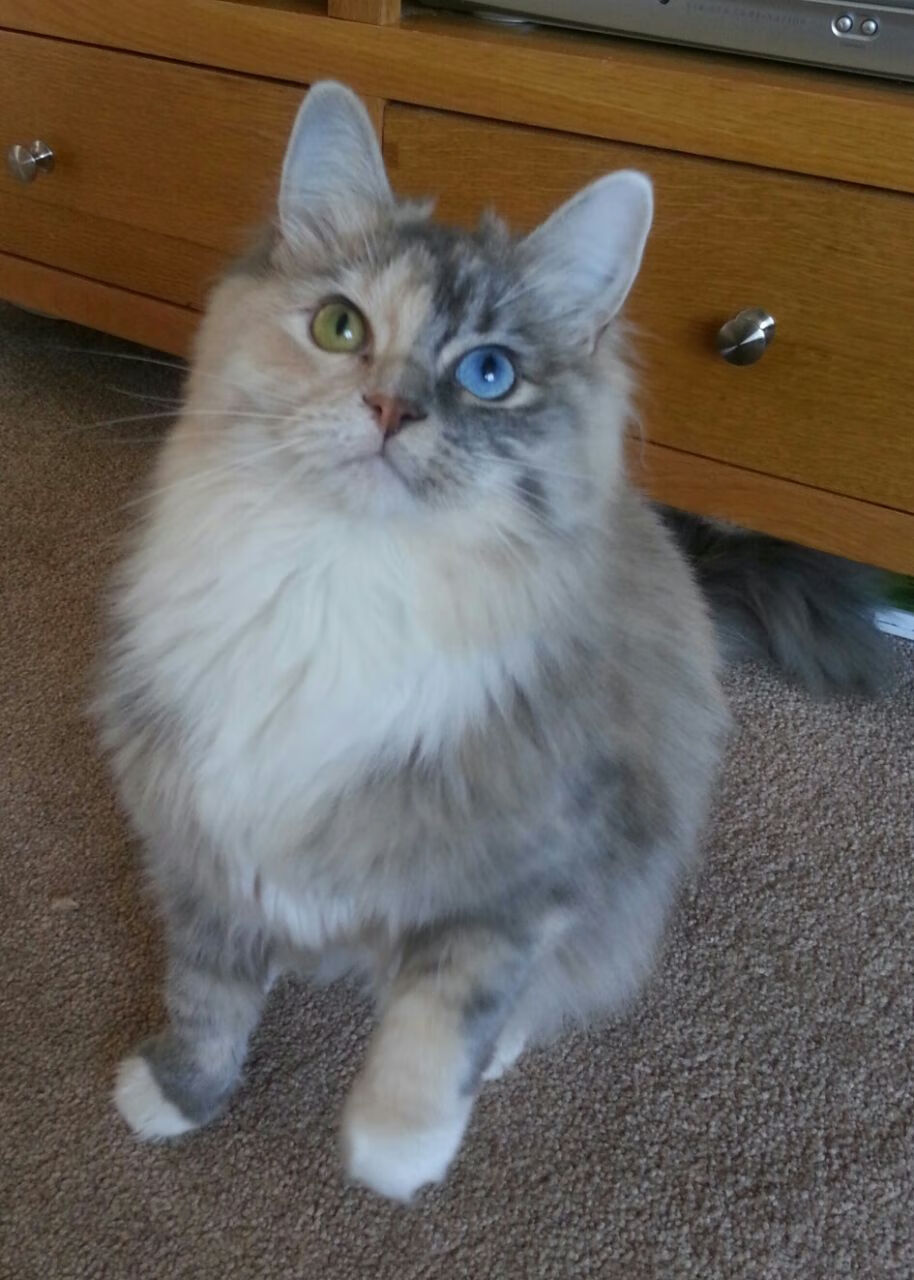 篮球节奏与足球智慧,尼克斯的掌控术如何启示浙江队的世界杯征程