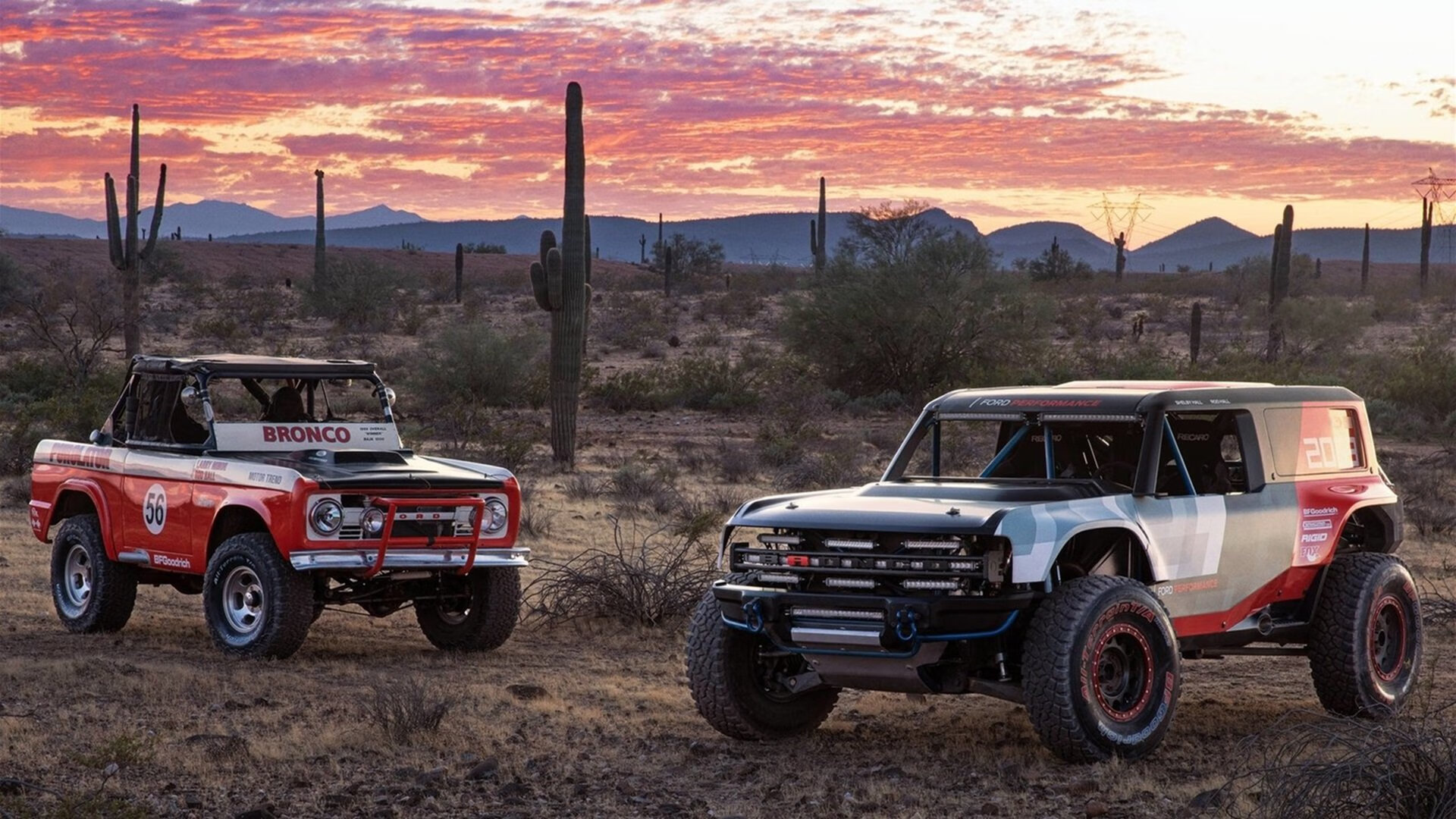 新赛季三强格局初现，文班亚马内线爆发，篮网强势晋级，吉林队展现黑马之姿