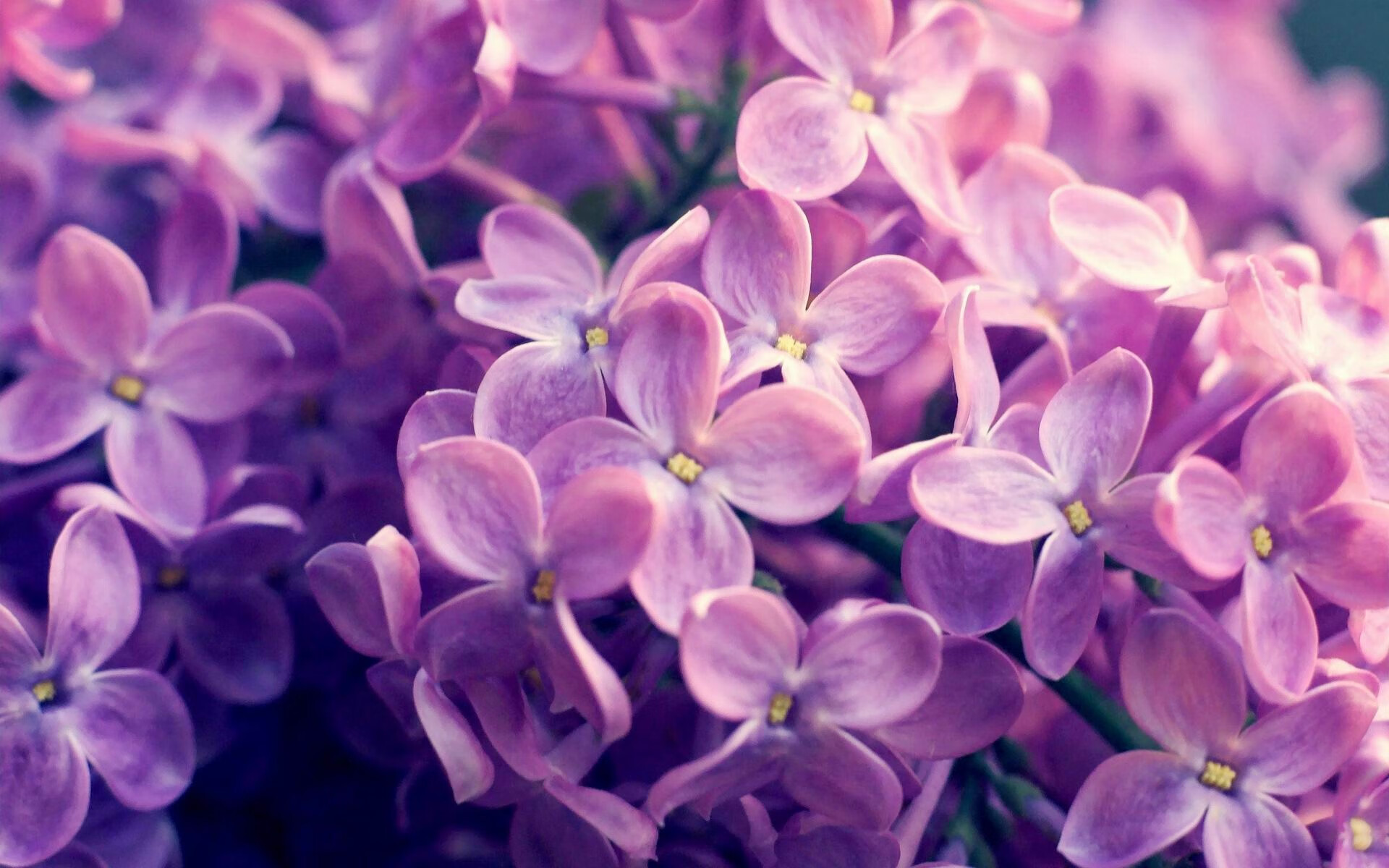 11号双城记，迪巴拉统治数据之夜，挪威用西班牙法则复仇毕尔巴鄂