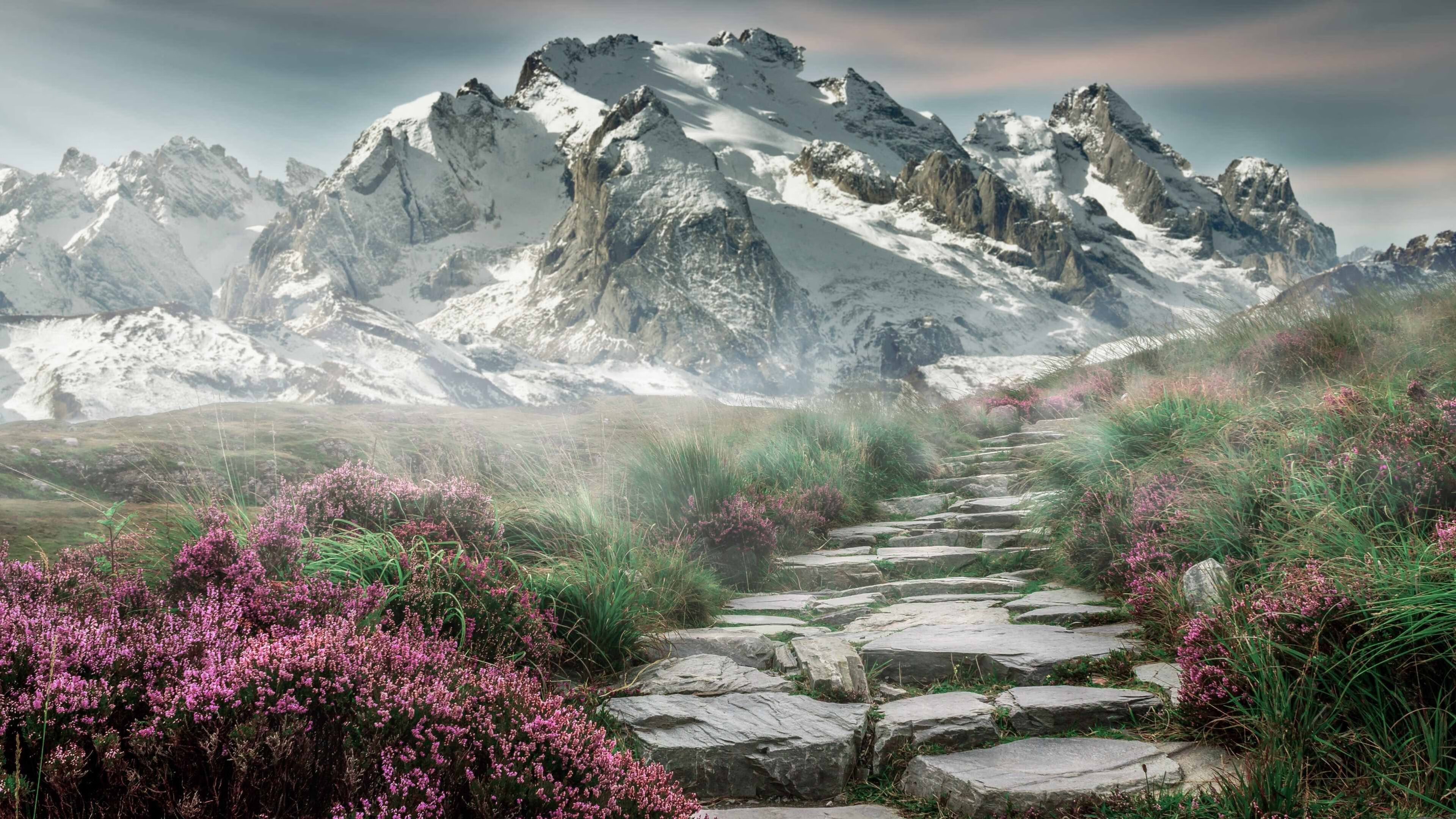 逆袭时刻！辽宁末节风暴席卷太阳，贝恩一锤定音化身关键先生