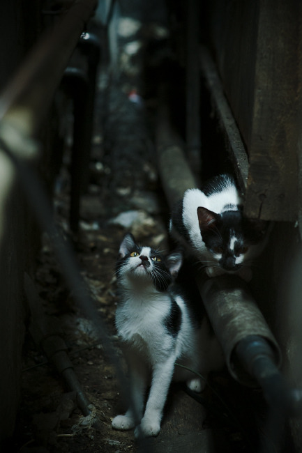 鏖战巴黎之夜，巴雷拉如何化身关键先生，定义红魔精神