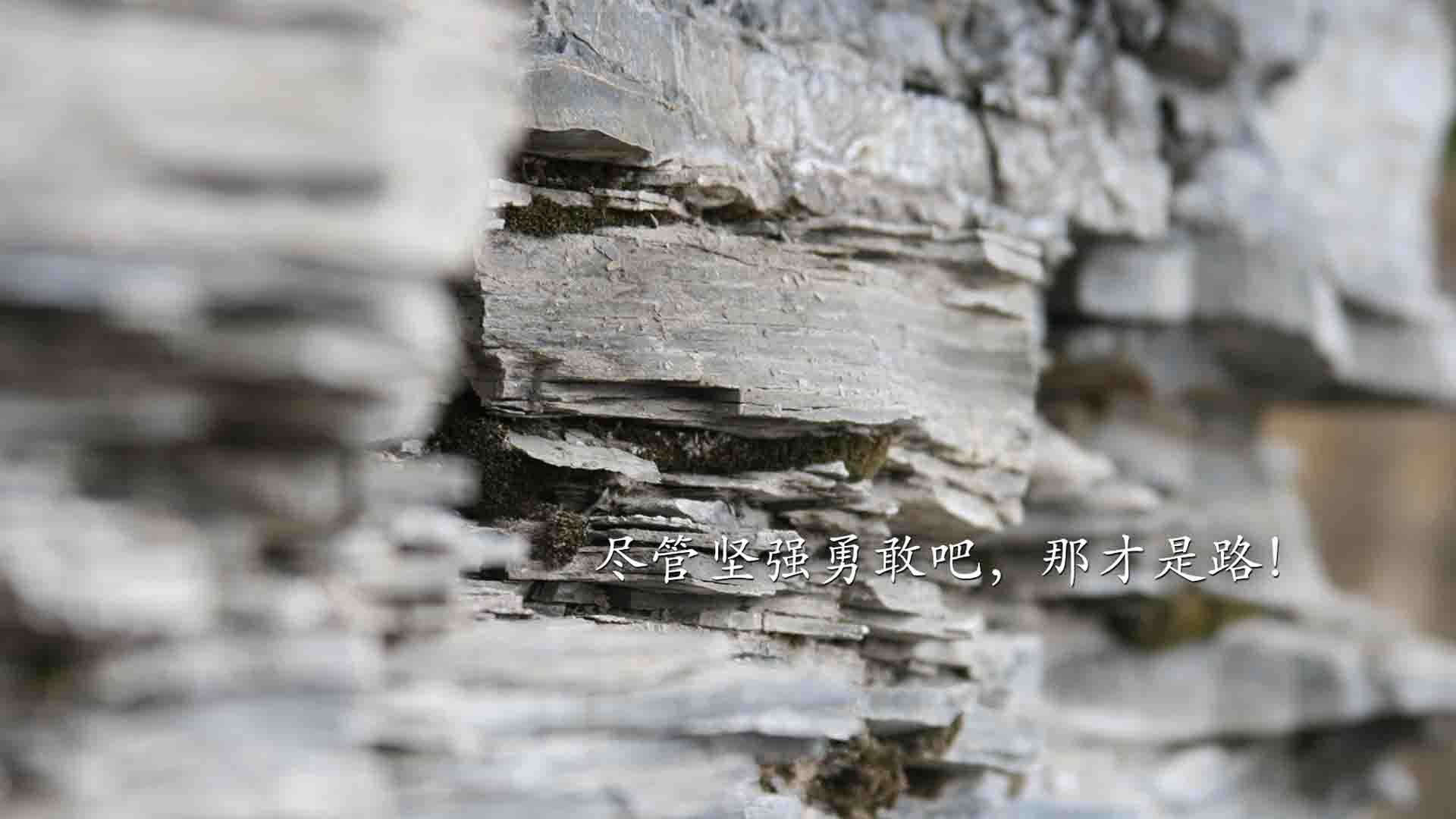 霍勒迪化身最后2分钟外科医生 爵士精密战术肢解湖人