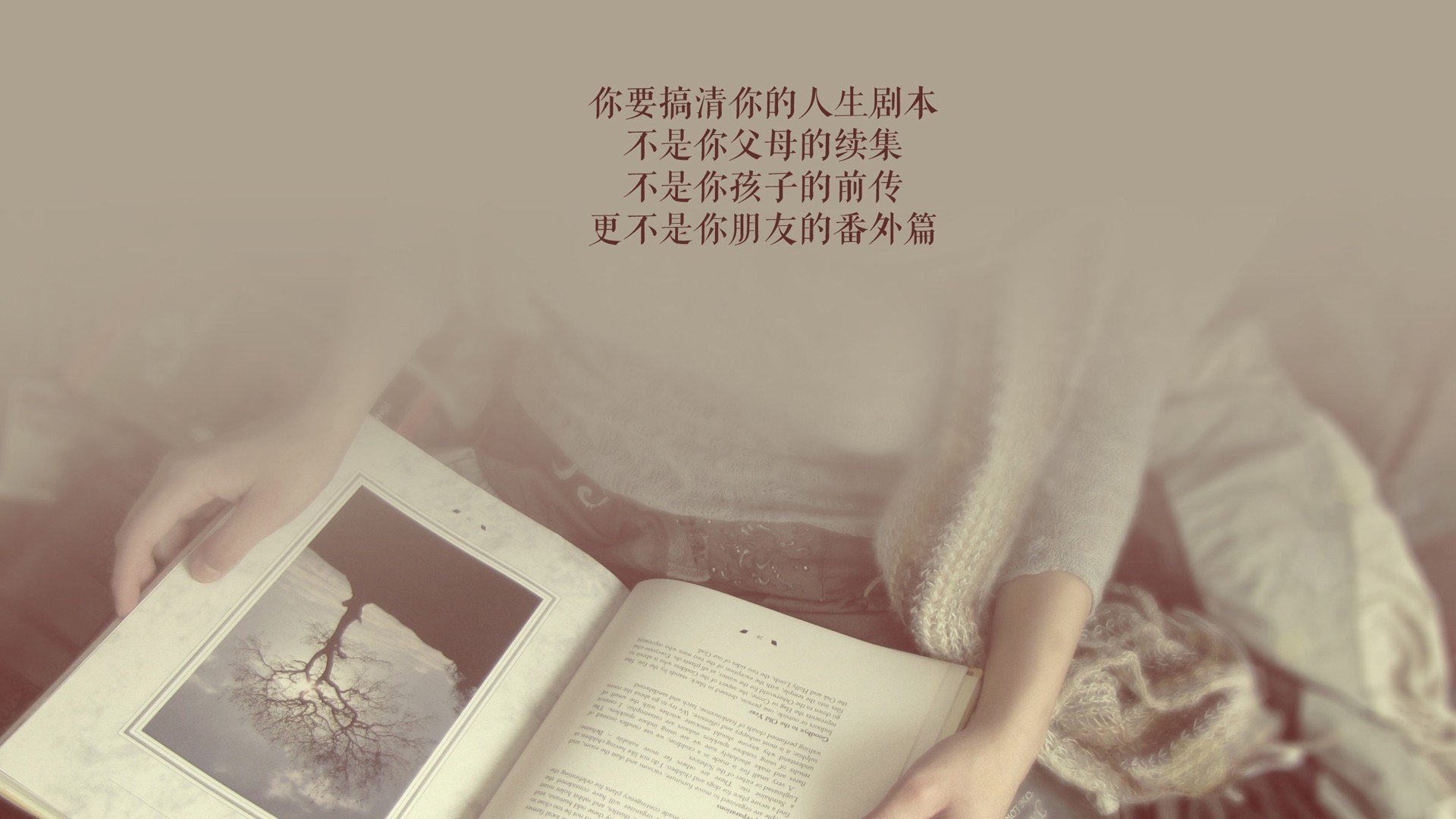 德意志战车碾压红魔,2026世界杯F组之战,控球为王与齐耶赫的致命一剑